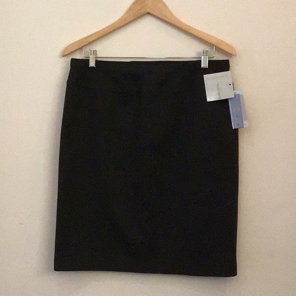 Ellen Tracy Skirt